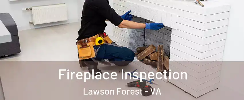 Fireplace Inspection Lawson Forest - VA
