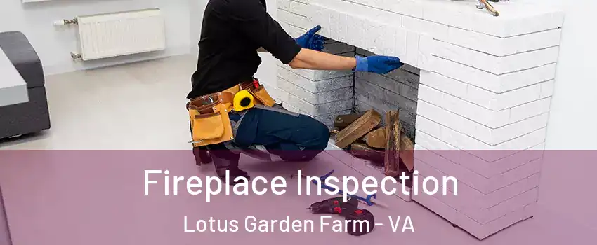 Fireplace Inspection Lotus Garden Farm - VA