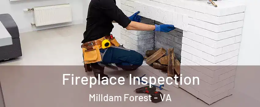 Fireplace Inspection Milldam Forest - VA