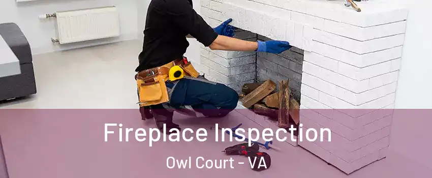 Fireplace Inspection Owl Court - VA