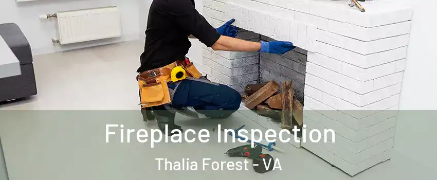 Fireplace Inspection Thalia Forest - VA