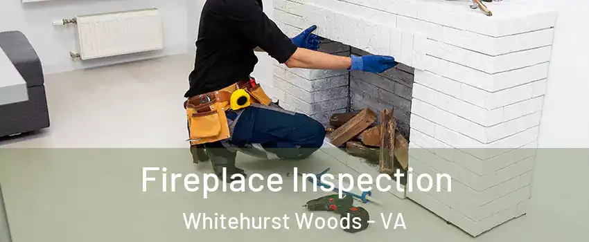 Fireplace Inspection Whitehurst Woods - VA