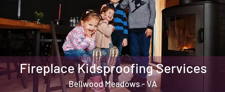 Fireplace Kidsproofing Services Bellwood Meadows - VA