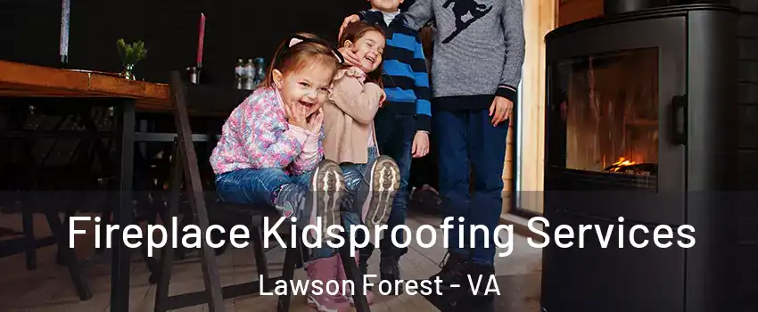 Fireplace Kidsproofing Services Lawson Forest - VA
