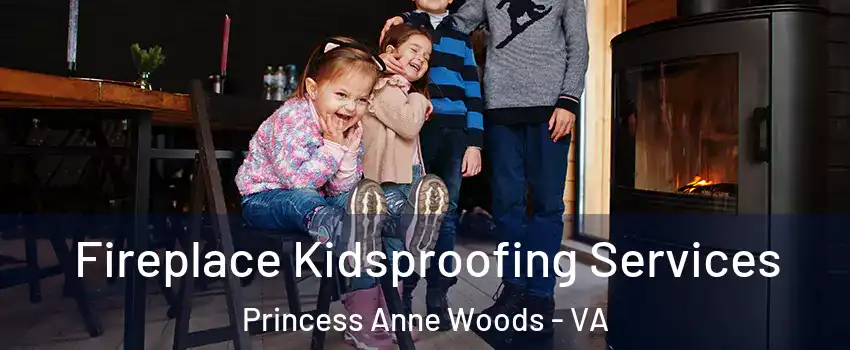 Fireplace Kidsproofing Services Princess Anne Woods - VA