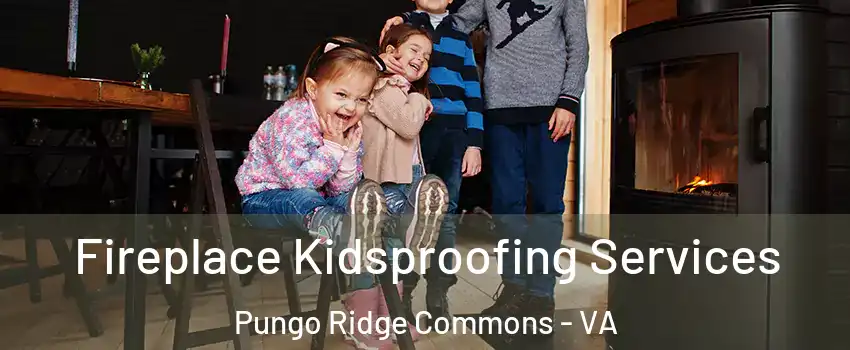 Fireplace Kidsproofing Services Pungo Ridge Commons - VA