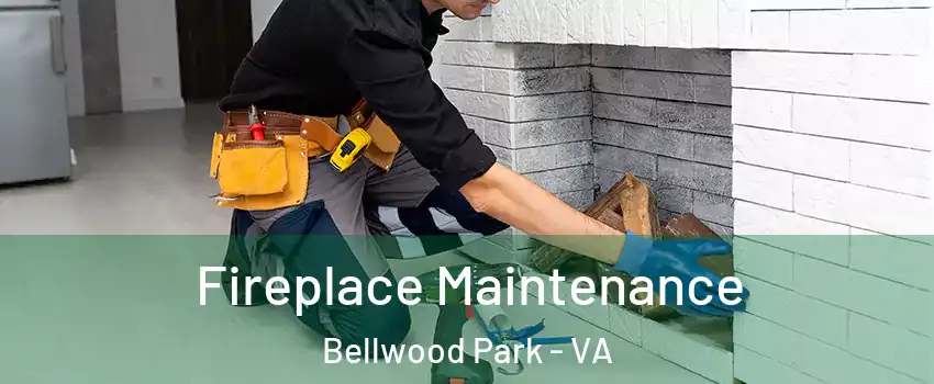 Fireplace Maintenance Bellwood Park - VA