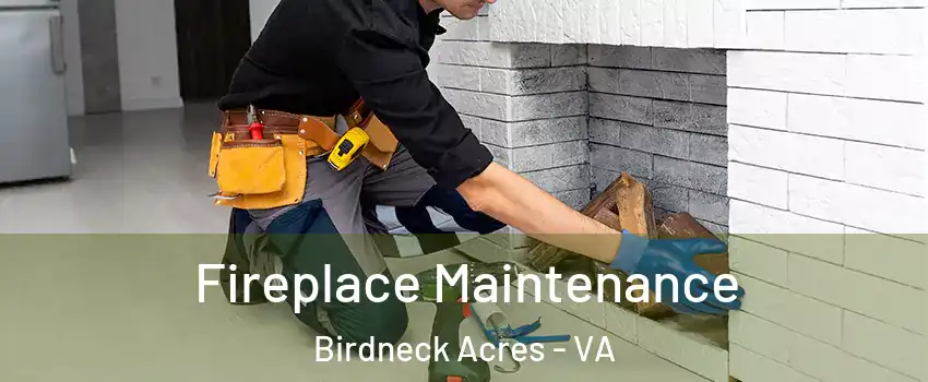Fireplace Maintenance Birdneck Acres - VA