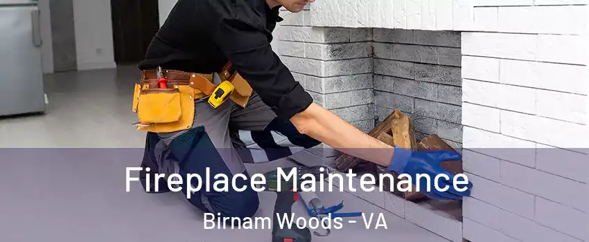Fireplace Maintenance Birnam Woods - VA