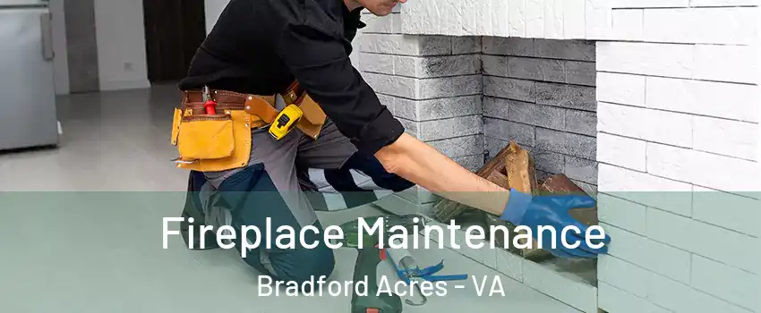 Fireplace Maintenance Bradford Acres - VA