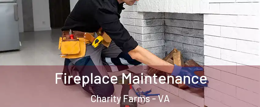 Fireplace Maintenance Charity Farms - VA