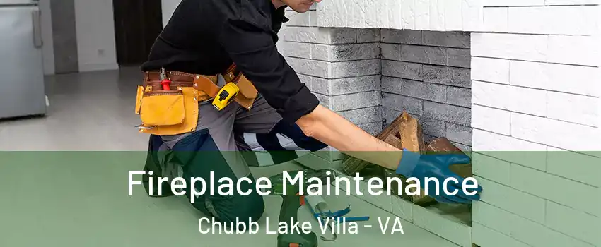 Fireplace Maintenance Chubb Lake Villa - VA