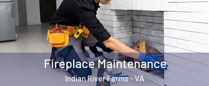 Fireplace Maintenance Indian River Farms - VA