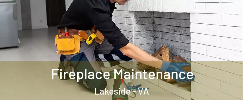 Fireplace Maintenance Lakeside - VA