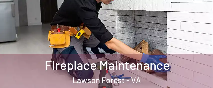 Fireplace Maintenance Lawson Forest - VA