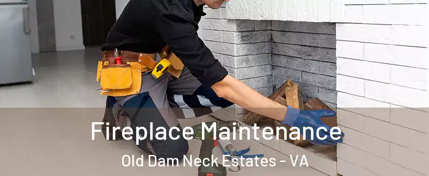 Fireplace Maintenance Old Dam Neck Estates - VA