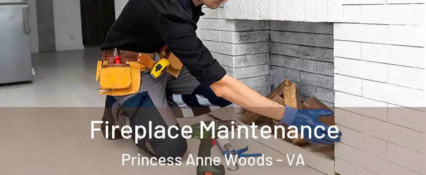 Fireplace Maintenance Princess Anne Woods - VA