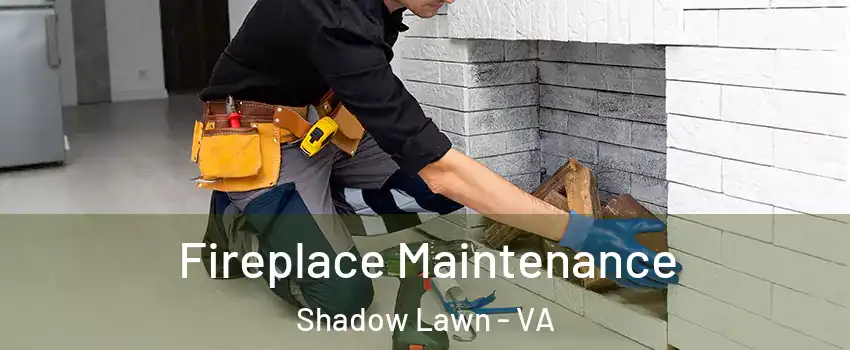 Fireplace Maintenance Shadow Lawn - VA