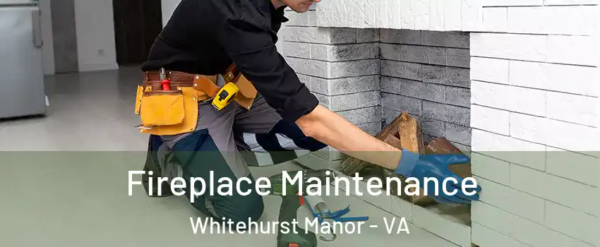 Fireplace Maintenance Whitehurst Manor - VA