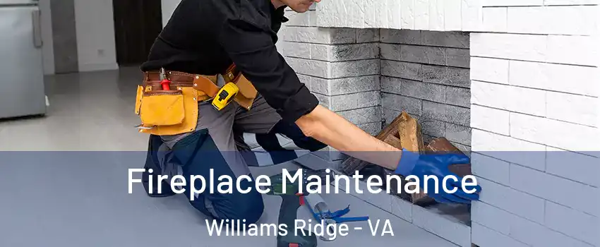 Fireplace Maintenance Williams Ridge - VA