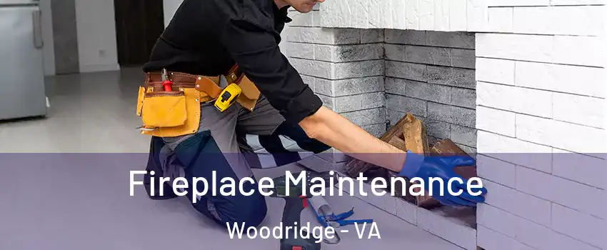 Fireplace Maintenance Woodridge - VA