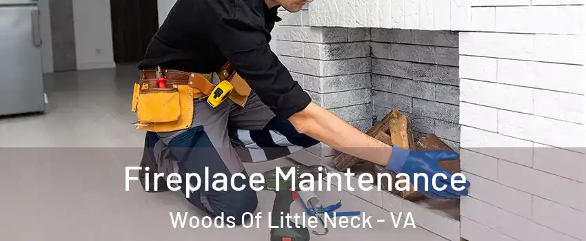 Fireplace Maintenance Woods Of Little Neck - VA