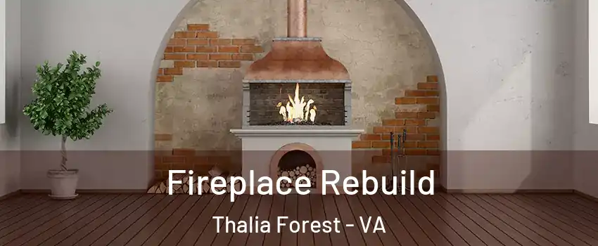 Fireplace Rebuild Thalia Forest - VA