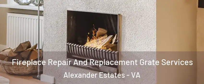 Fireplace Repair And Replacement Grate Services Alexander Estates - VA