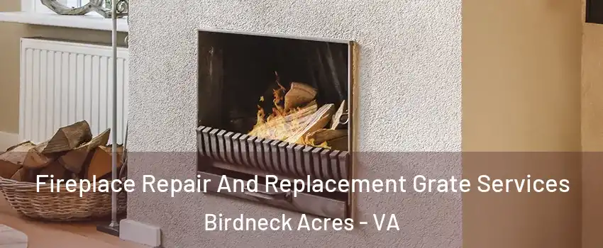 Fireplace Repair And Replacement Grate Services Birdneck Acres - VA