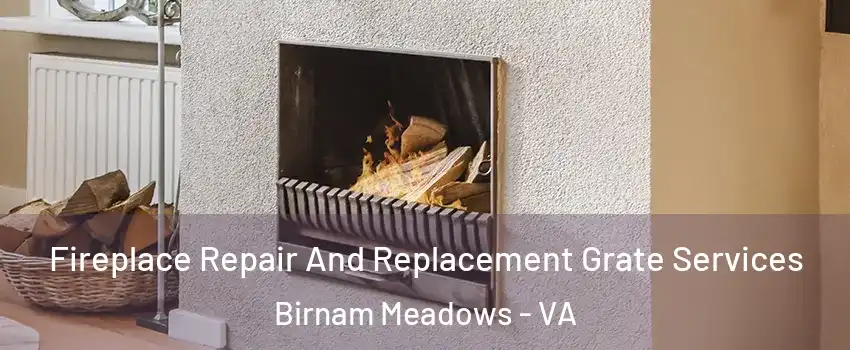 Fireplace Repair And Replacement Grate Services Birnam Meadows - VA