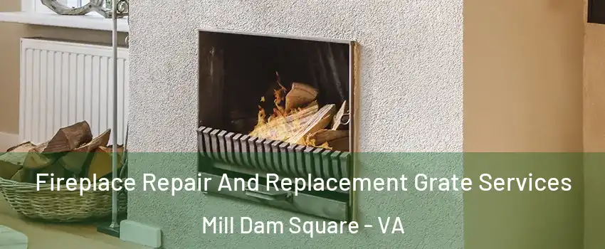 Fireplace Repair And Replacement Grate Services Mill Dam Square - VA