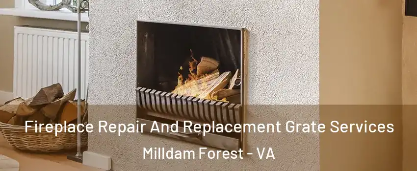 Fireplace Repair And Replacement Grate Services Milldam Forest - VA