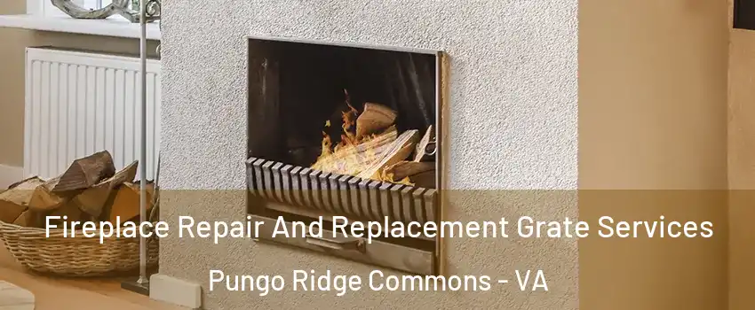 Fireplace Repair And Replacement Grate Services Pungo Ridge Commons - VA