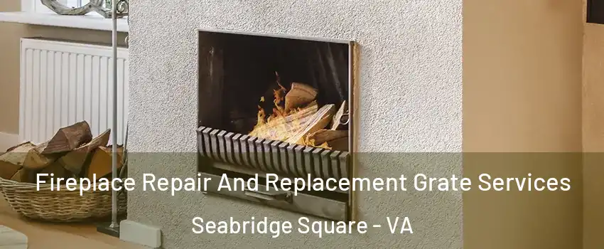 Fireplace Repair And Replacement Grate Services Seabridge Square - VA