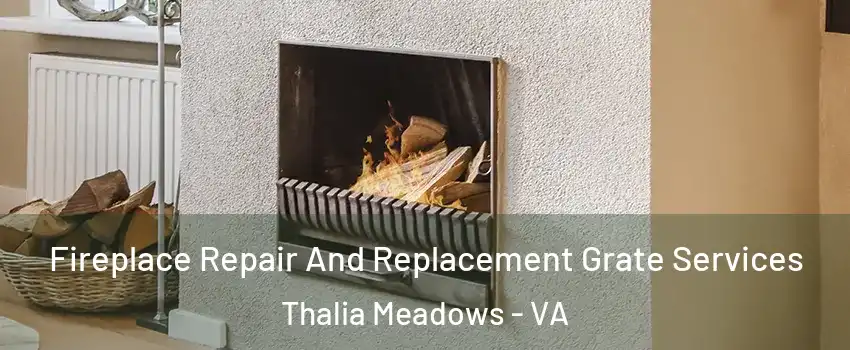 Fireplace Repair And Replacement Grate Services Thalia Meadows - VA