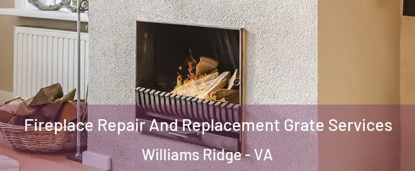 Fireplace Repair And Replacement Grate Services Williams Ridge - VA