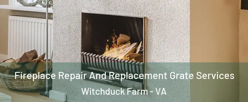 Fireplace Repair And Replacement Grate Services Witchduck Farm - VA