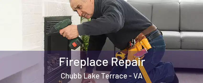 Fireplace Repair Chubb Lake Terrace - VA