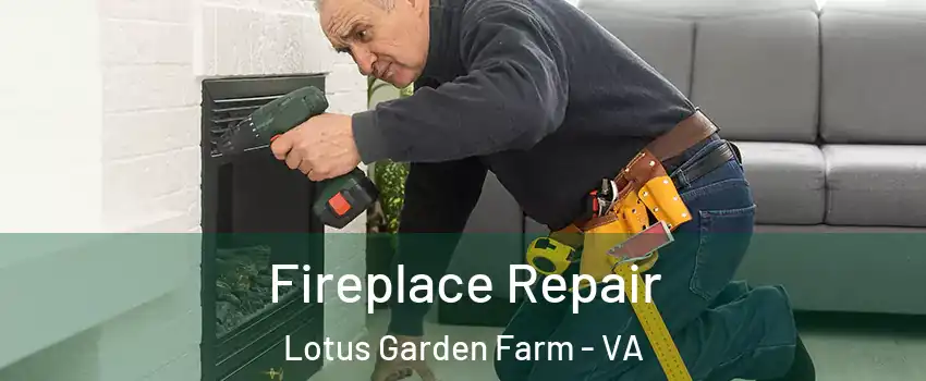 Fireplace Repair Lotus Garden Farm - VA