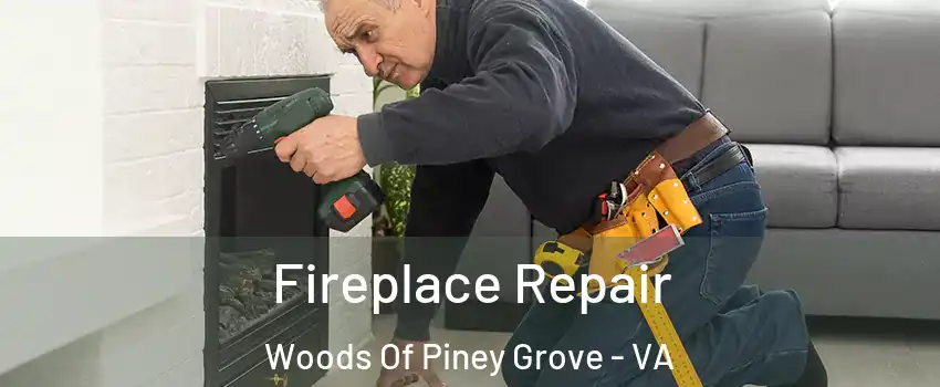 Fireplace Repair Woods Of Piney Grove - VA
