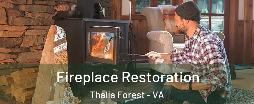 Fireplace Restoration Thalia Forest - VA