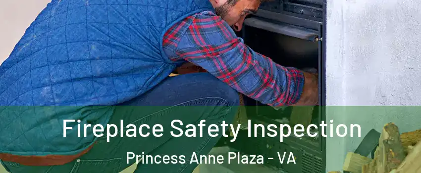 Fireplace Safety Inspection Princess Anne Plaza - VA