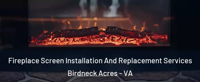 Fireplace Screen Installation And Replacement Services Birdneck Acres - VA