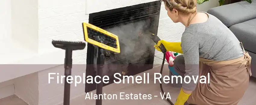 Fireplace Smell Removal Alanton Estates - VA