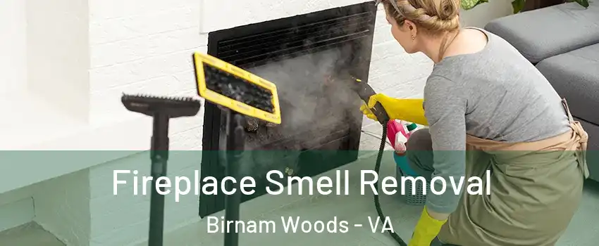 Fireplace Smell Removal Birnam Woods - VA