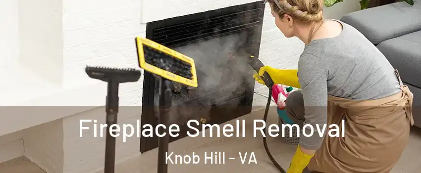 Fireplace Smell Removal Knob Hill - VA