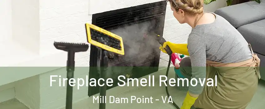 Fireplace Smell Removal Mill Dam Point - VA