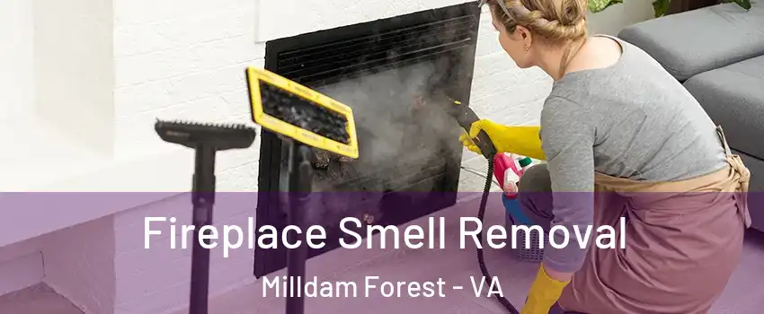 Fireplace Smell Removal Milldam Forest - VA