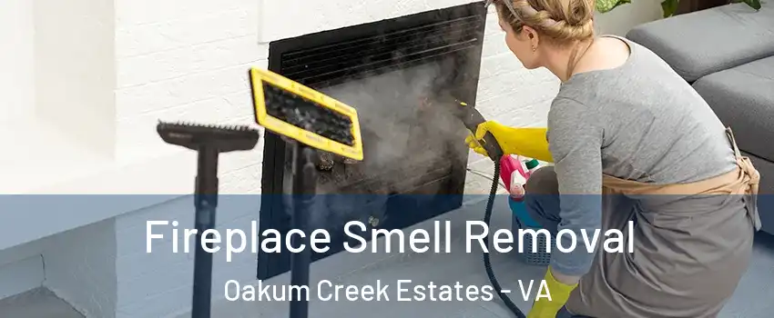 Fireplace Smell Removal Oakum Creek Estates - VA