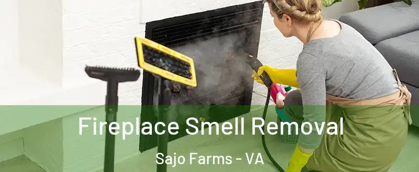 Fireplace Smell Removal Sajo Farms - VA